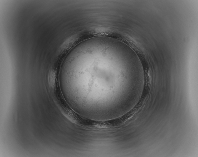 X0000116610742200912111134