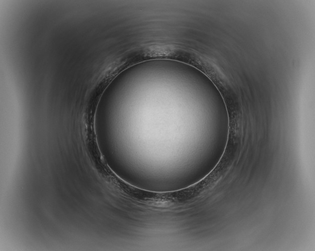 X0000116610743200912111134