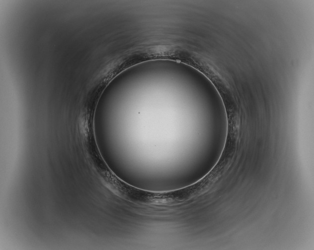X0000116610746200912111134