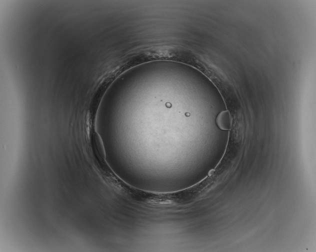 X0000116610747200912111134