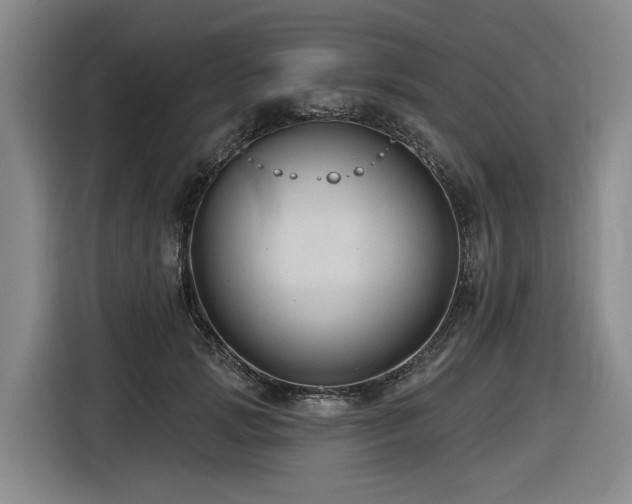 X0000116610749200912111134