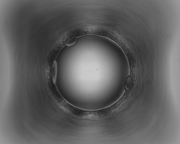 X0000116610750200912111134