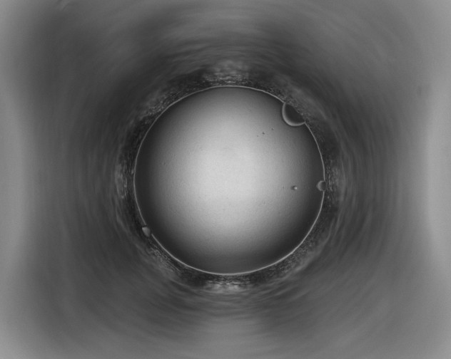 X0000116610751200912111134