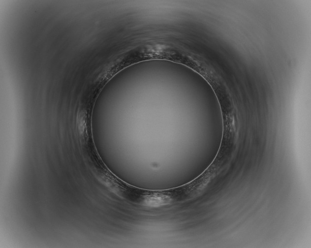 X0000116610754200912111134