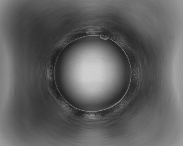 X0000116610755200912111134