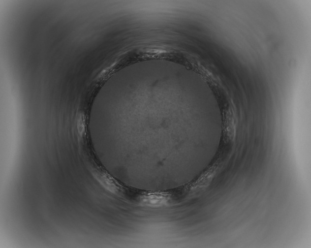 X0000116610758200912111134