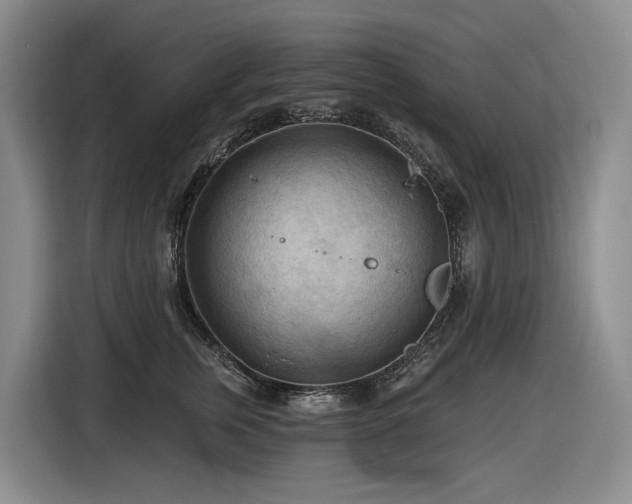 X0000116610759200912111134