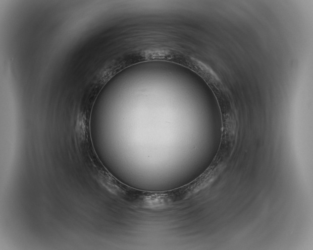 X0000116610761200912111134