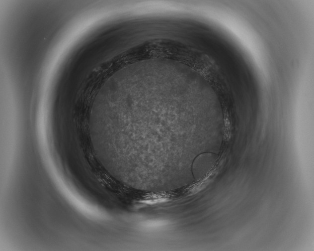 X0000116610765200912111134