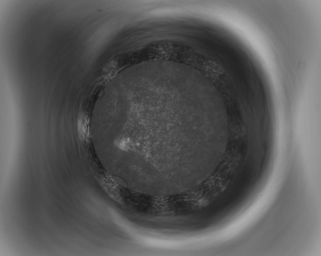 X0000116610766200912111134