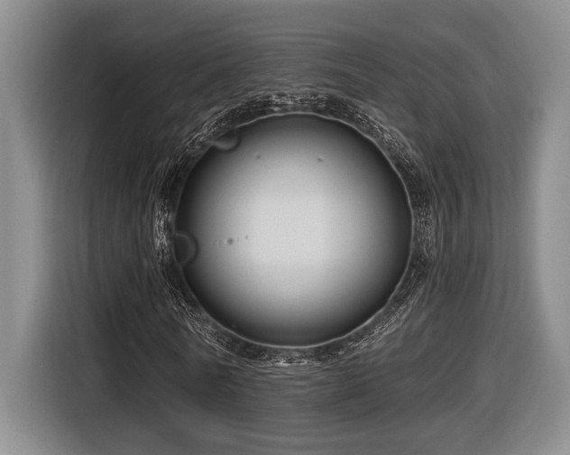 X0000116610770200912111133