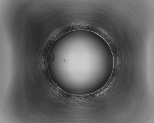 X0000116610774200912111133