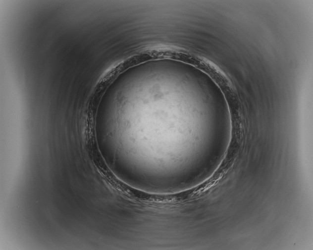 X0000116610775200912111133