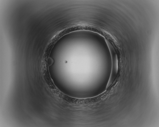 X0000116610776200912111133