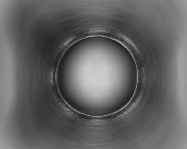 X0000116610777200912111133