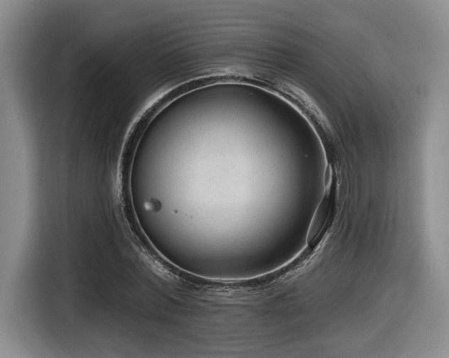 X0000116610780200912111133