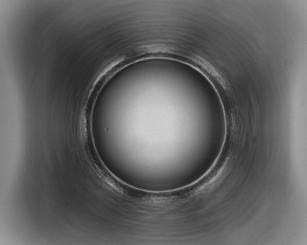 X0000116610782200912111133