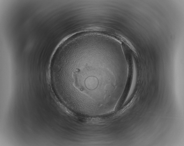 X0000116610784200912111133