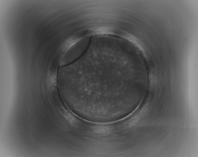 X0000116610785200912111133