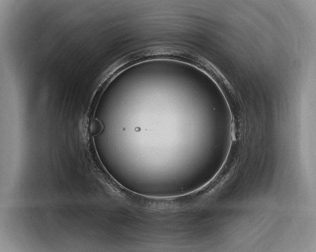 X0000116610786200912111133