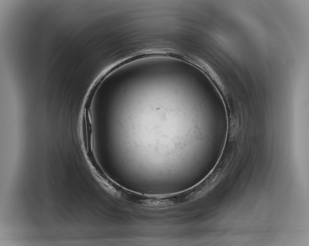 X0000116610795200912111133