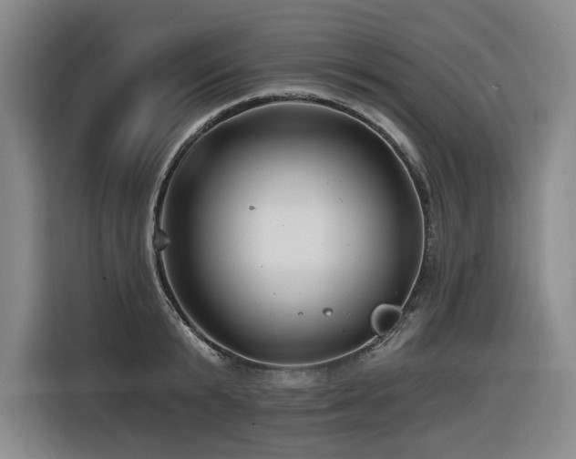 X0000116610799200912111133