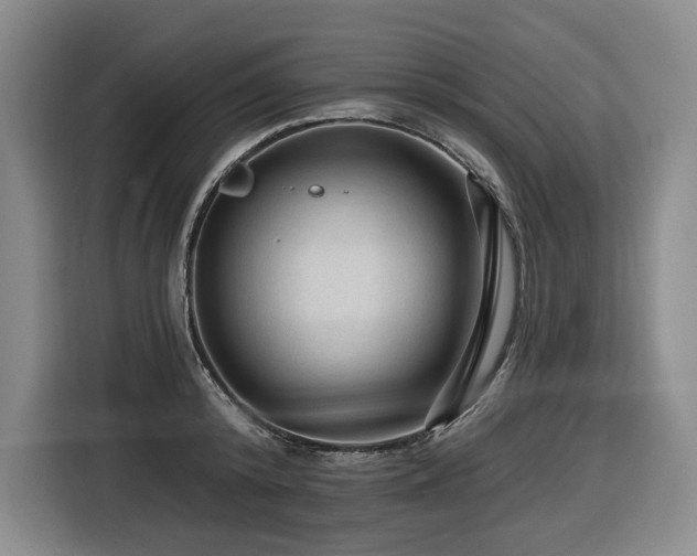 X0000116610800200912111133