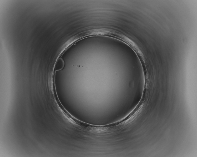 X0000116610802200912111133