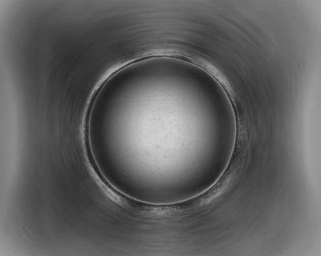 X0000116610803200912111133