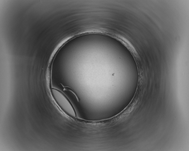 X0000116610804200912111133