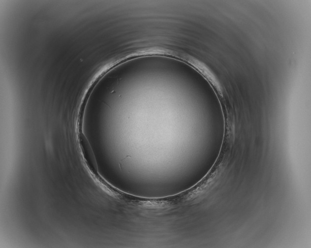 X0000116610805200912111133