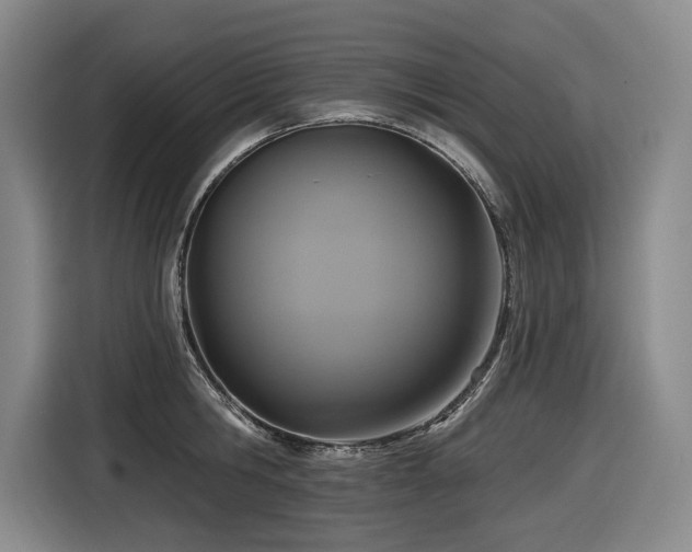 X0000116610806200912111133