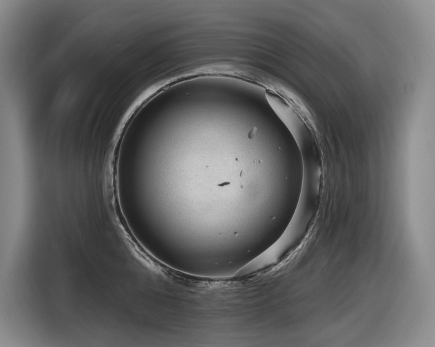 X0000116610808200912111133