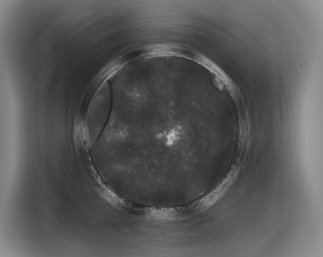 X0000116610809200912111133