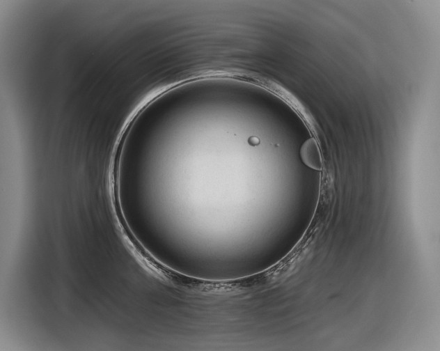 X0000116610811200912111133