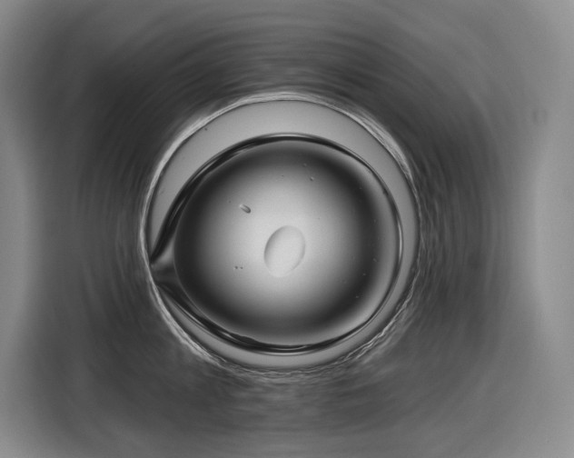 X0000116610813200912111133