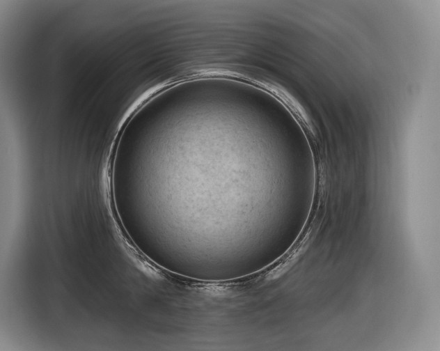 X0000116610814200912111133