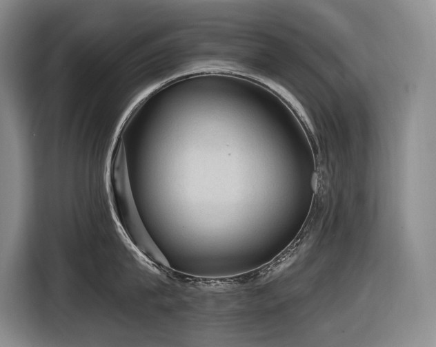 X0000116610815200912111133