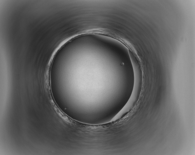 X0000116610816200912111133