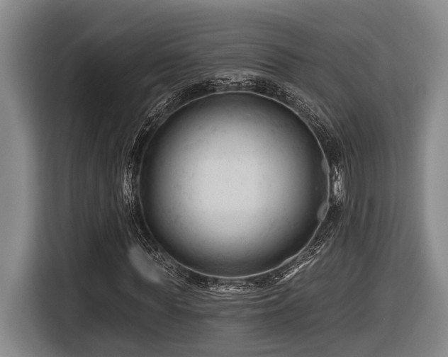 X0000116610819200912111132