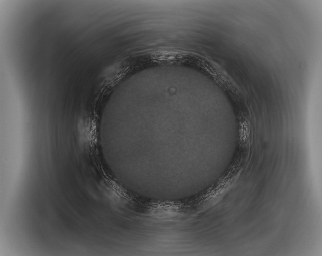 X0000116610820200912111132