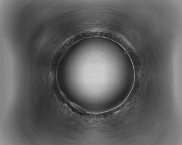 X0000116610821200912111132
