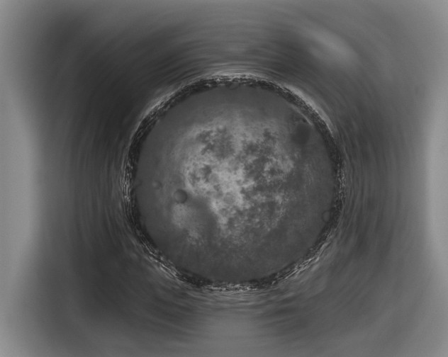 X0000116610823200912111132