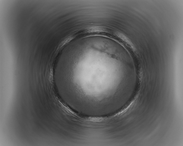 X0000116610825200912111132