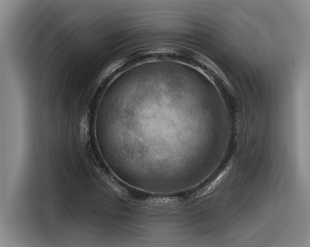 X0000116610826200912111132