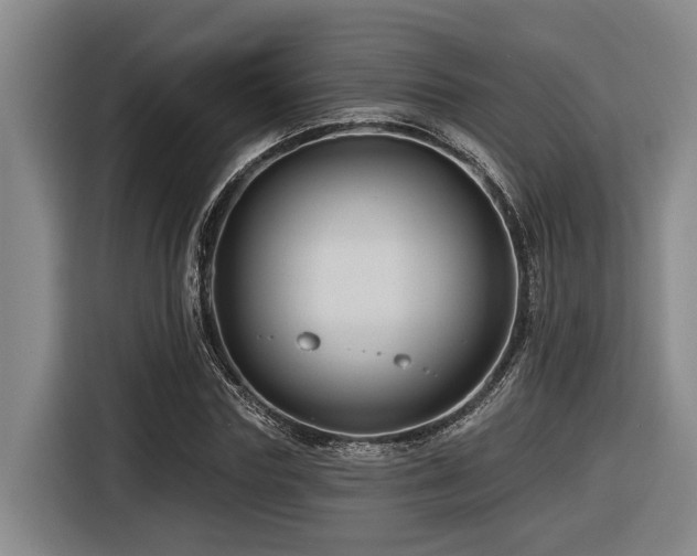 X0000116610827200912111132
