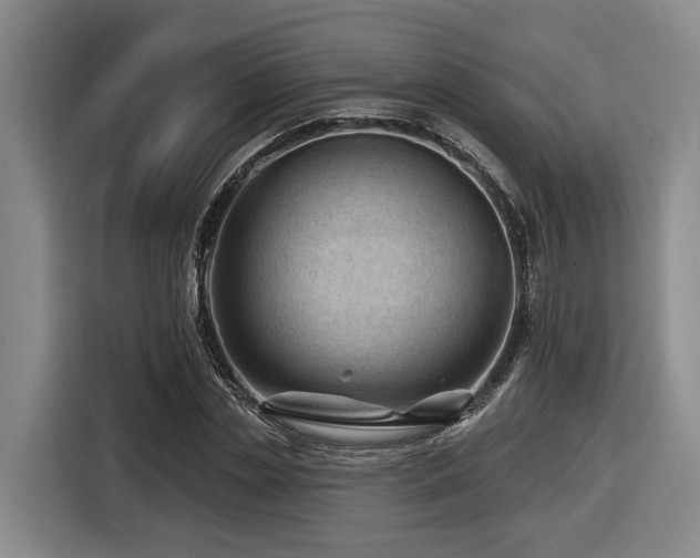 X0000116610829200912111132