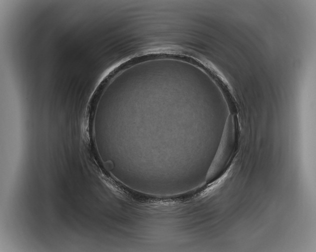 X0000116610830200912111132