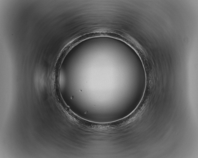 X0000116610831200912111132