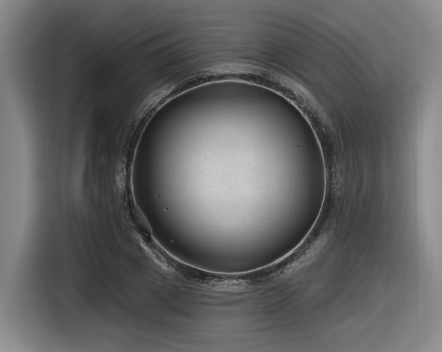 X0000116610833200912111132